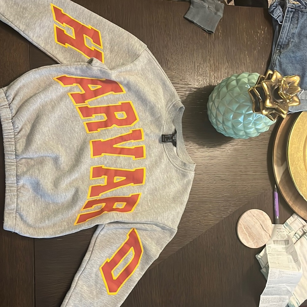 Forever 21 grey red and yellow cropped sweater